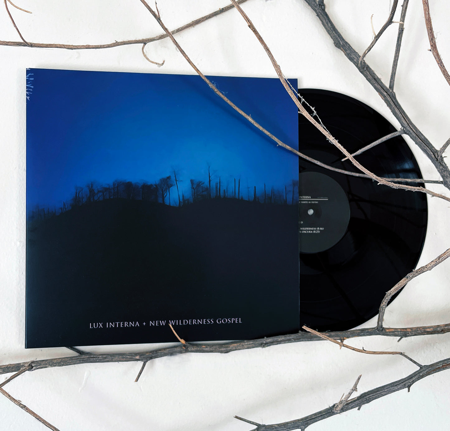 Blood Black Bundle: There is Light + New Wilderness Gospel Limited Edition Black Vinyl