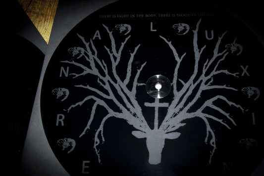 There is Light in the Body, There is Blood in the Sun - LIMITED EDITION BLACK VINYL DOUBLE LP
